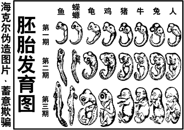 【党文化の解体】第2章（17）「進化論の脆弱な論理的基礎」
