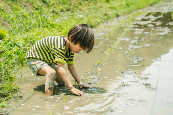 9. 病気にならない子供たち～免疫力を鍛え上げる