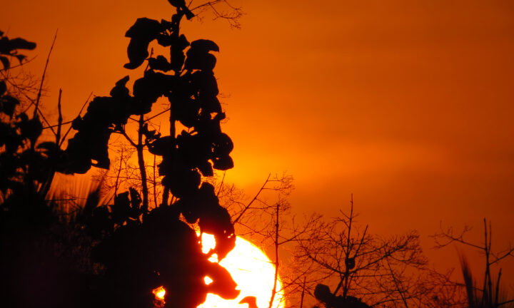 千古の英雄人物 韓信 4 鴻門の会 剣の舞 劉邦 樊噲 大紀元 エポックタイムズ