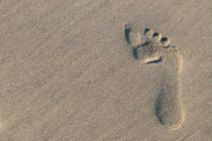 2万3千年前の北米最古の人の足跡が発掘される