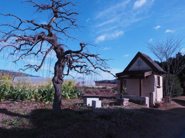 トルストイ寓話から「金銭を前にして、二人の兄弟が選んだもの」