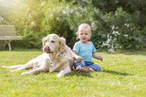 大の仲良しね！犬が子守りする姿に母親がほっこり