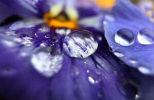 天が決めた　母の再婚