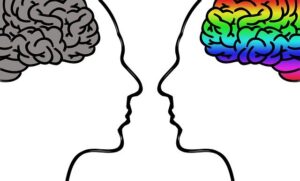 心理学者がみる右脳と左脳の特徴とは？