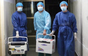 海外で臓器移植した韓国人、97％は中国＝調査