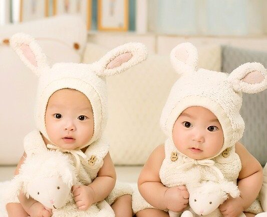 双子の赤ちゃんの愛らしい動画が大人気 インスタグラム フォロワー 一卵性双生児 大紀元 エポックタイムズ