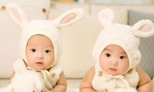 双子 大紀元 エポックタイムズ