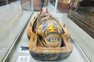 定論を覆す発見　高度なミイラ防腐処理技術はすでに4千年前から使用か