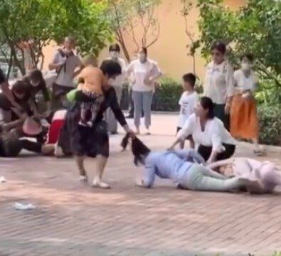 北京の動物園で客同士が殴り合い 園側の虚構声明が話題に 動物もケンカを真似した 中国共産党 道徳 大紀元 エポックタイムズ