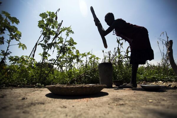 中国の「不在」に非難　アフリカの食糧危機に支援呼びかけ＝米長官