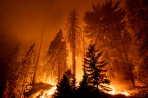 気候科学者の告白 「山火事は温暖化のせい」に話を合わせるしかなかった