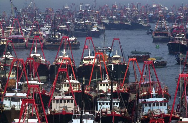 レポート：中国漁船が強制労働のトップ加害者に