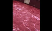 河の水が2キロに及び「血の赤 」に染まる＝中国　四川省