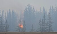 カナダ西部で広範囲の山火事、国立公園などから2.5万人避難