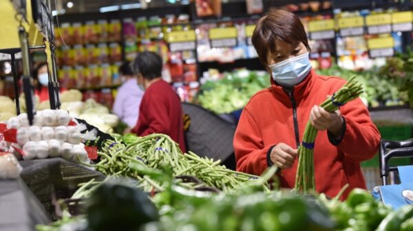 中国で野菜「高騰」