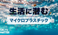 生活に潜むマイクロプラスチック 食用バイオプラスチックで解決？｜Facts Matter