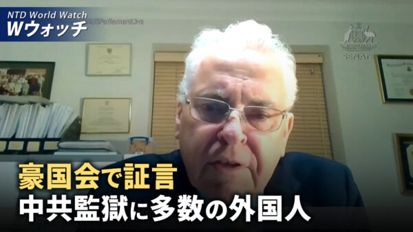 副大統領候補者の討論 優雅さの中に鋭さ/元記者が豪国会で証言　中共監獄に多数の外国人 など｜NTD ワールドウォッチ（2024年10月4日）