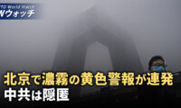 北京で濃霧の黄色警報が連続発令 中共は隠匿/NYの「地下鉄サーフィン」で6人が死亡 など｜NTD ワールドウォッチ（2024年11月6日）