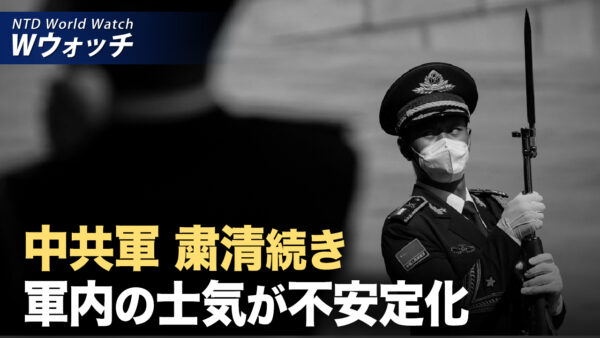 軍粛清続き 中共軍士気不安定/米国の裁判所がTikTokの緊急申立を棄却 など｜NTD ワールドウォッチ（2024年12月16日）