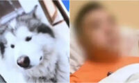 言葉が通じたのか？　「犬語」で飼い犬を威嚇し噛まれた男性＝中国