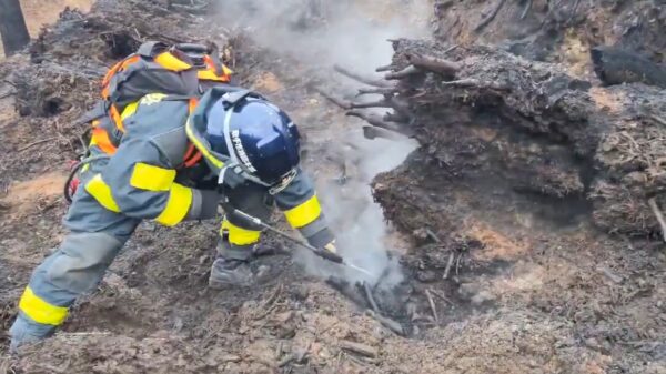 大船渡市林野火災　一部地域で避難指示解除　延焼の危険性低下