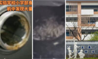 中国・浙江省の小学校食堂のミンチ機に「大量の虫」【動画あり】
