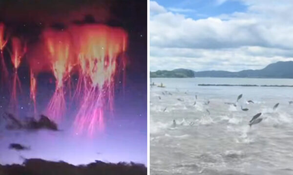 異変続く中国の空と大地　「魚の乱舞」「火流星」「オーロラ」【動画あり】