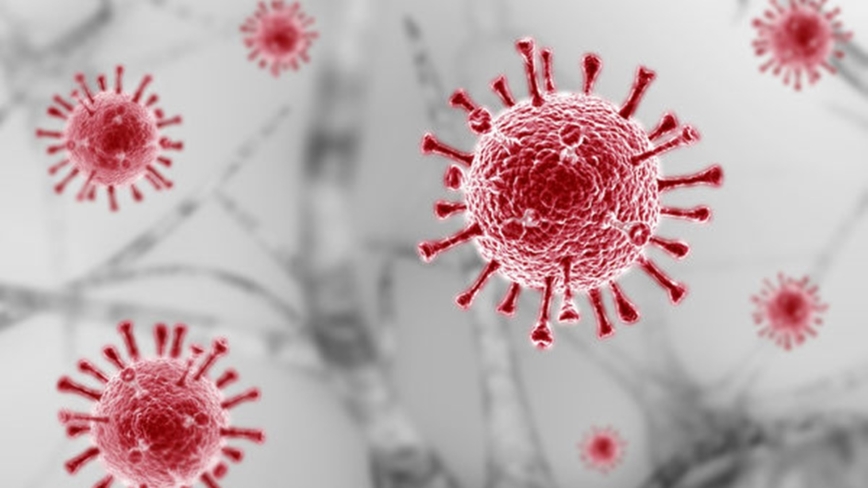 「農業テロ」可能な病原菌持ち込み　米検察が中国籍男女2人を起訴「中共関与」の疑いも浮上