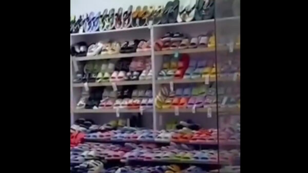 中国の人気キッズサンダルの半数から有害物質が基準超え　平均365倍最大509倍