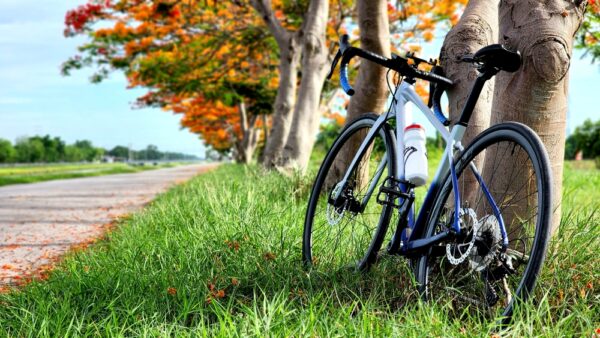 自転車の交通違反「青切符」　来年4月1日から取り締まり