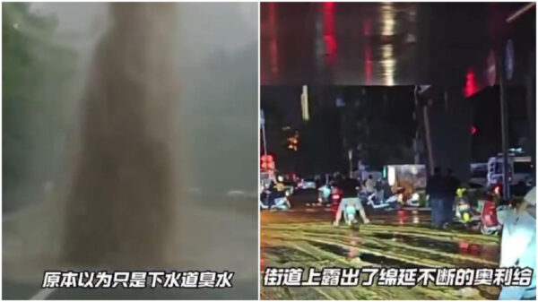 「金色の悪夢」　洛陽の街が糞便まみれに【動画あり】