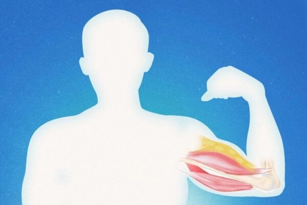 筋肉と脂肪、どちらも大切にすべき理由