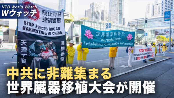四川で数千人が学校のいじめに抗議 矛先は党首に向かう/ 世界移植大会が米国で開催 中共の生体臓器収奪を非難 など｜NTD ワールドウォッチ（2025年08月08日）