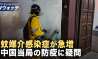 米国務院が2024年人権報告を発表 中共の越境弾圧を暴露/チクングニア熱が拡大 中国6省を最高リスク区に指定  など｜NTD ワールドウォッチ（2025年08月15日）