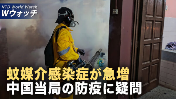 米国務院が2024年人権報告を発表 中共の越境弾圧を暴露/チクングニア熱が拡大 中国6省を最高リスク区に指定  など｜NTD ワールドウォッチ（2025年08月15日）