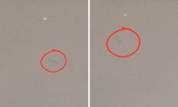 成都の夜空に再び「竜」出現　雷雨に響く大きなうなり声　＝中国【動画あり】