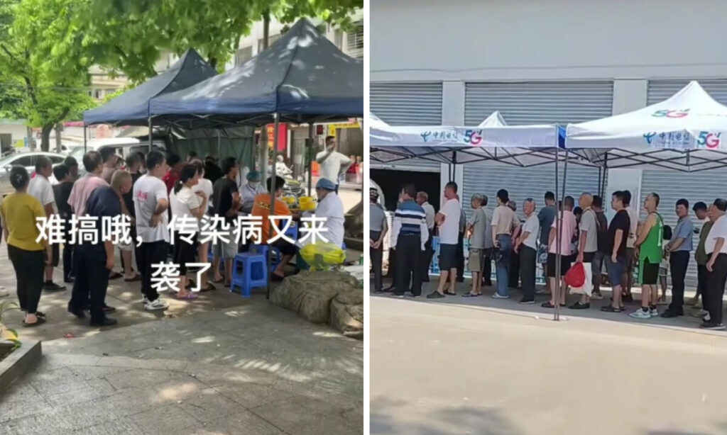 蚊まで「金もうけの道具」？　中国・広東省で防疫名目の利権疑惑