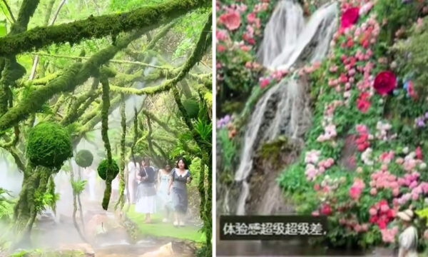 プラスチックだらけの「自然公園」　本物は入場料と失望だけ＝中国【動画あり】