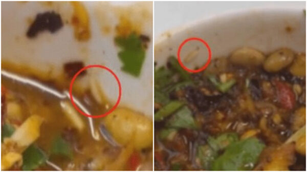 火鍋店のタレ皿の中でうごめくウジ虫　店主の言い訳は「これはタンパク質」＝中国