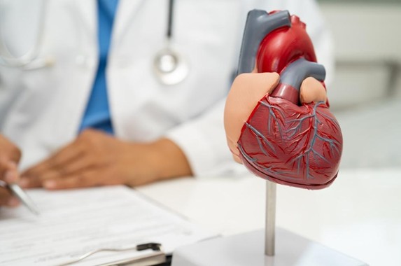 血管の老化は病気リスクを高める ― 柔らかい体が老化を逆転