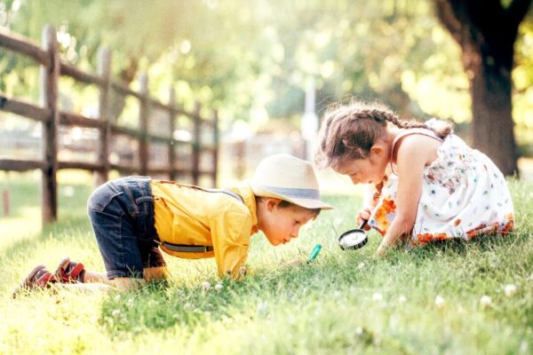 好奇心：考え方がすべてを変える