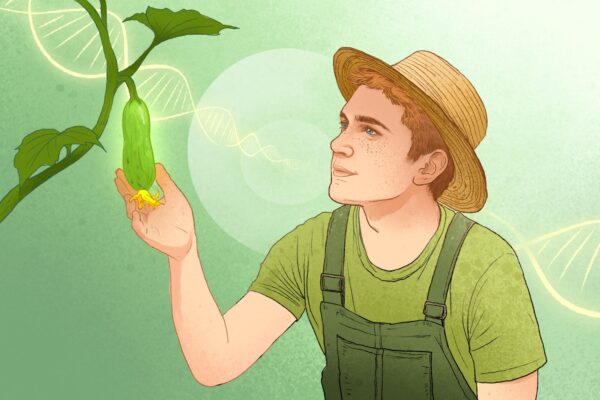 忍耐が細胞の老化を遅らせる仕組み