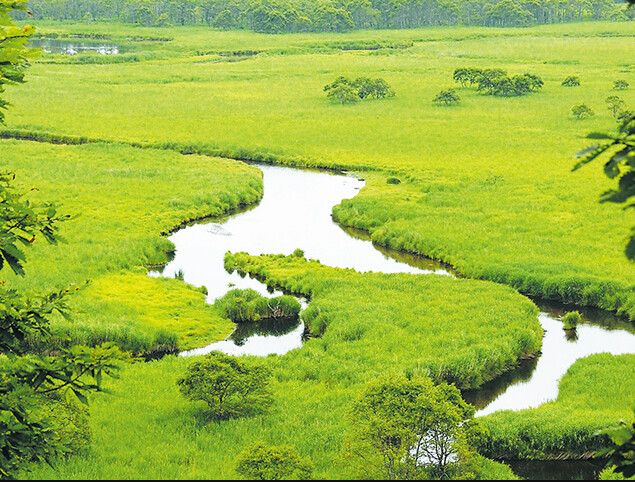 釧路湿原のメガソーラー事業者に　一部工事の中止を勧告　北海道