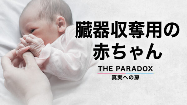 臓器収奪用の赤ちゃん 【THE PARADOX 真実への扉】