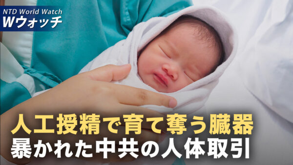 国際組織が最新報告 乳幼児が中共による生体臓器収奪の標的に/韓国で反中共デモ 李大統領の中国人観光客ビザ免除措置に抗議 など｜NTD ワールドウォッチ（2025年10月06日）