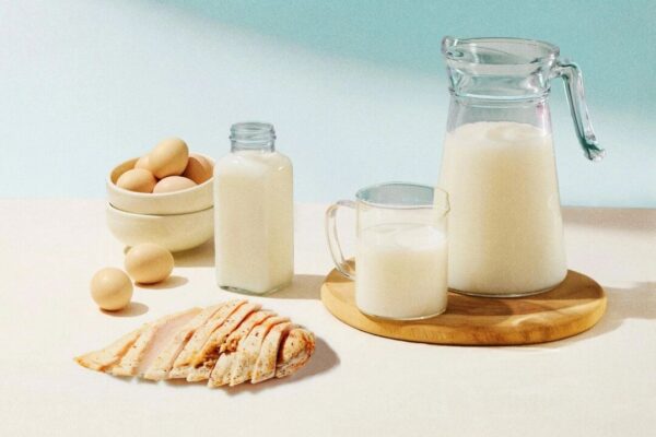 すべてのタンパク質が同じではない ― 質を最大化する方法