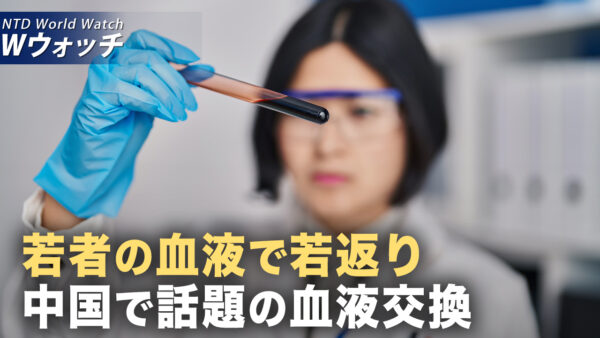「若者の血液による若返り治療」中共が地下血液バンク構築か/ 米「アンティファ」関連4団体を「外国テロ組織」指定 など｜NTD ワールドウォッチ（2025年11月17日）