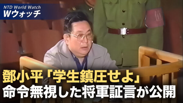六四事件の武力弾圧を拒否 徐勤先氏の裁判映像が公開 /中国発の偽装アカウントが次々露呈 サイバー軍の実態も浮き彫りに  など｜NTD ワールドウォッチ（2025年11月28日）