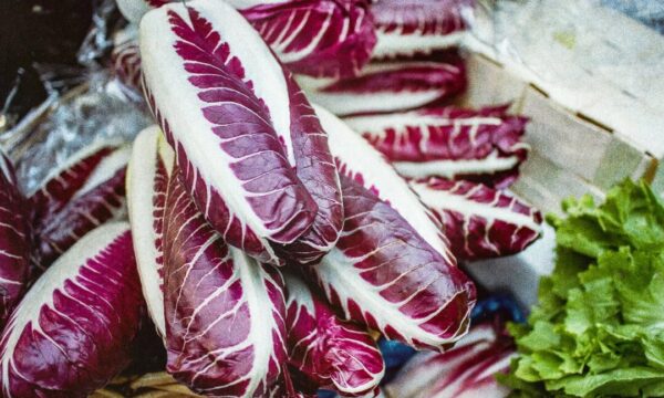 苦味がカギ？　消化と血糖を整える意外なメカニズム