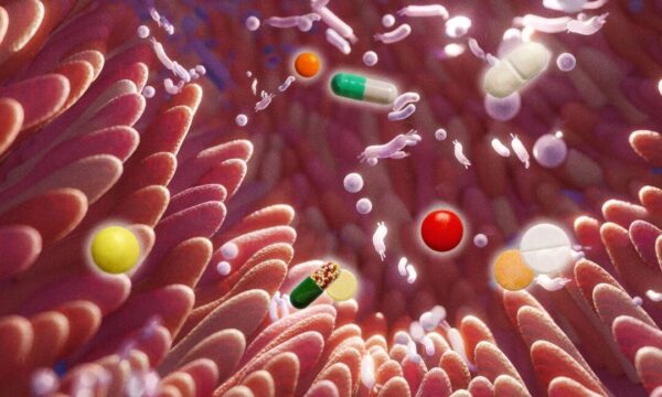 薬をやめても腸内変化が続く──数年後まで残る影響